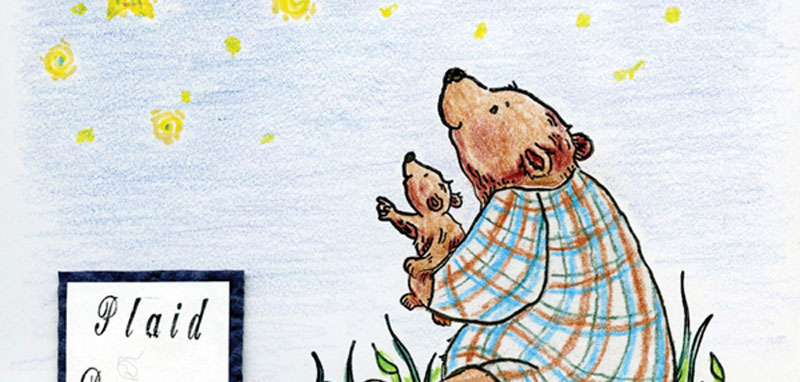 A mama bear wearing a plaid shirt holding a baby bear looking at the stars