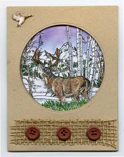 Elk in Winter by Christina Strickland