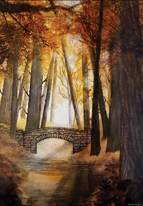 stone bridge in the forest 