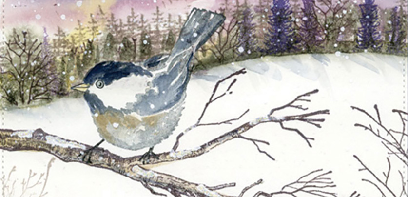 chickadee on a tree limb with a snowy background and sunset sky