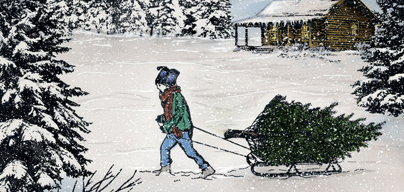 A boy walking in a snowy scene in the woods dragging a sled with a Christmas tree on it